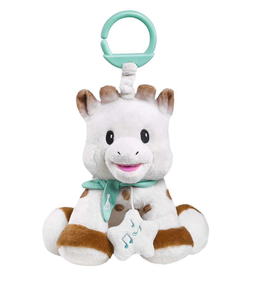 010338 – Peluche 20 cm avec boite ├á musique face BD